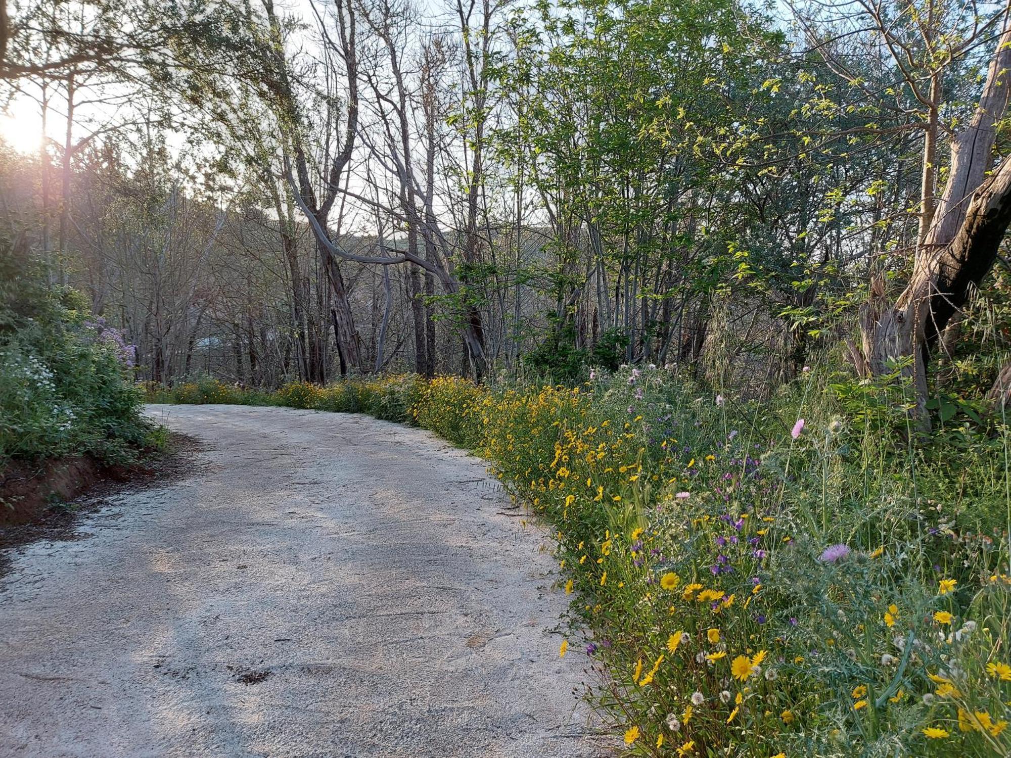 Finca Naturacanaria Moya  Esterno foto