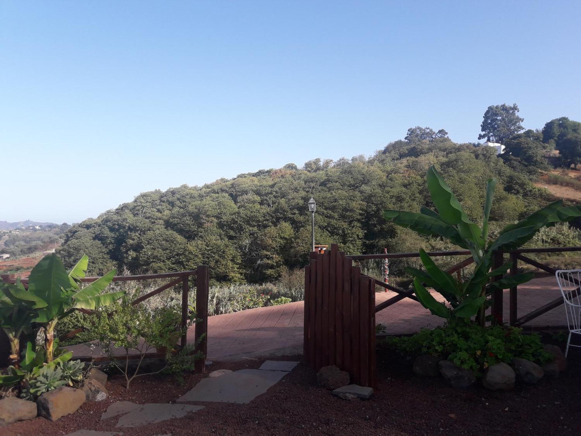 Finca Naturacanaria Moya  Esterno foto