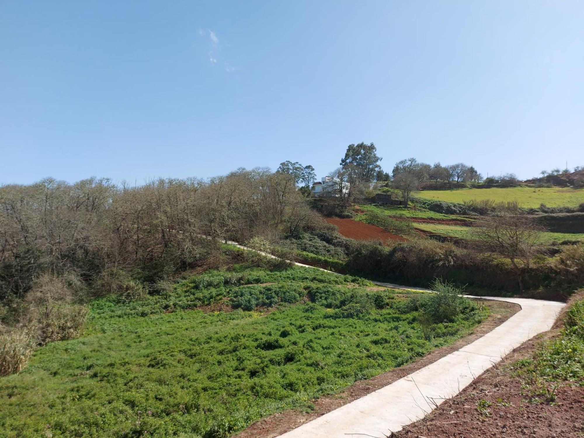 Finca Naturacanaria Moya  Esterno foto