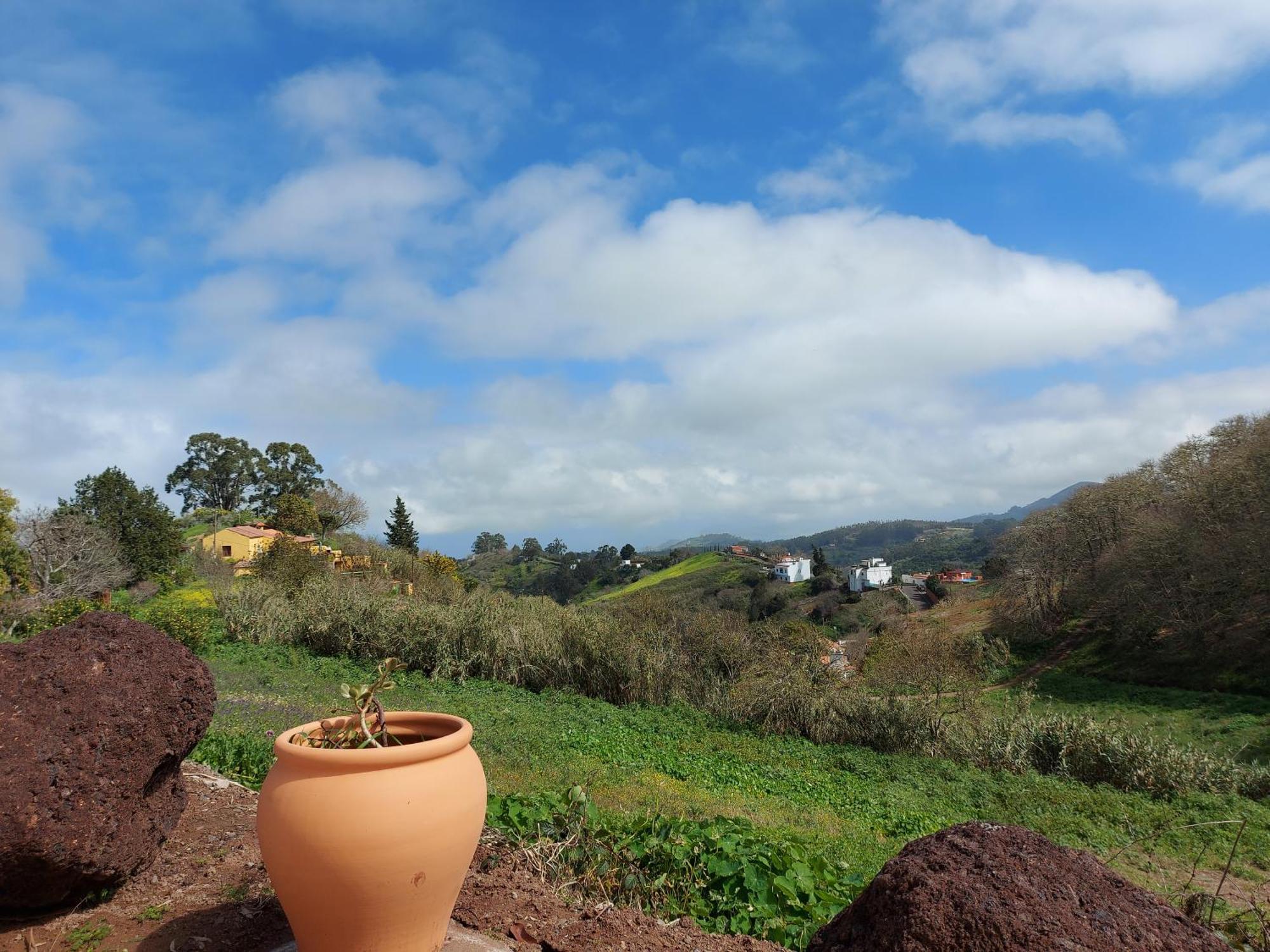 Finca Naturacanaria Moya  Esterno foto