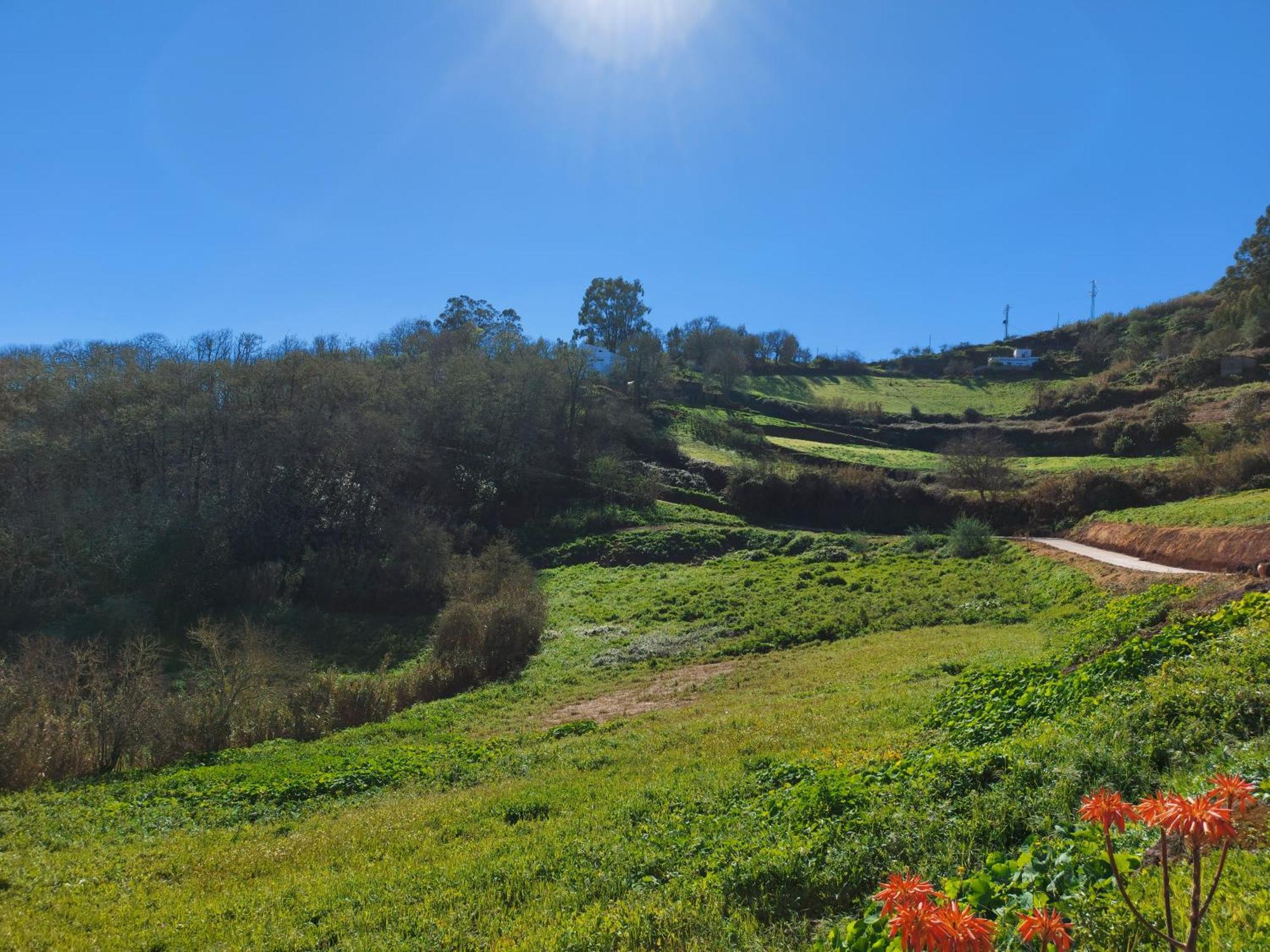 Finca Naturacanaria Moya  Esterno foto