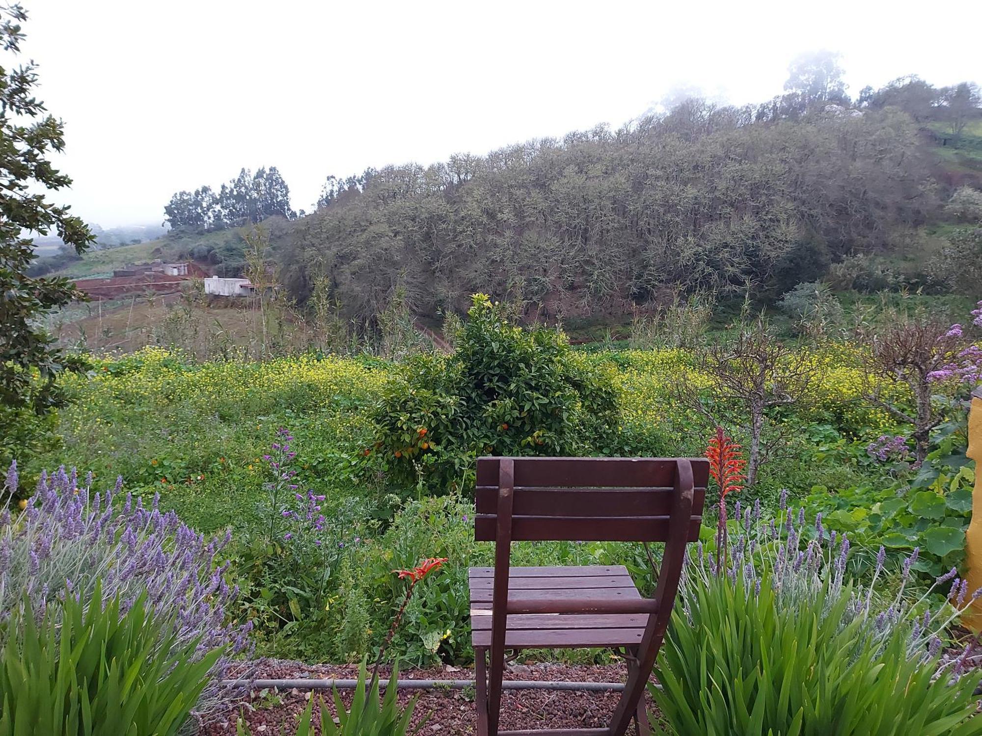 Finca Naturacanaria Moya  Esterno foto